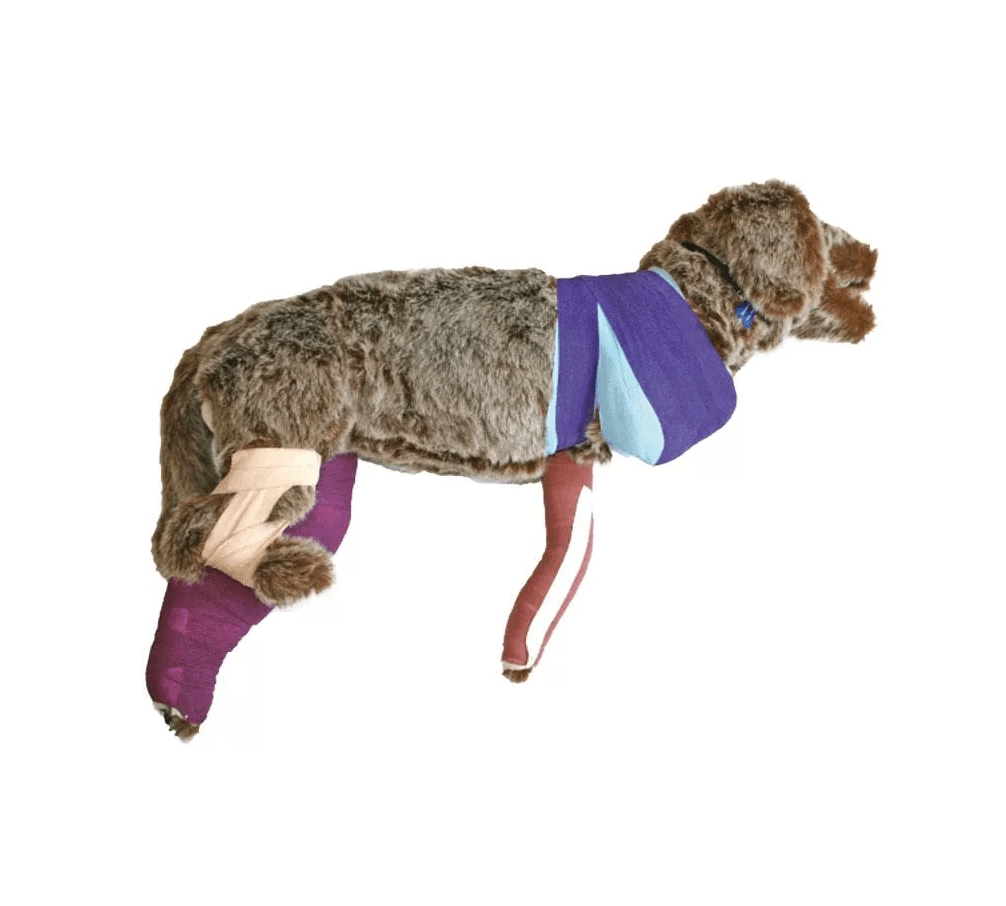 Verbandtrainingspuppe Rufus - Erler - Zimmer